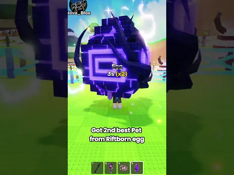 Got 2nd best Pet from Riftborn egg