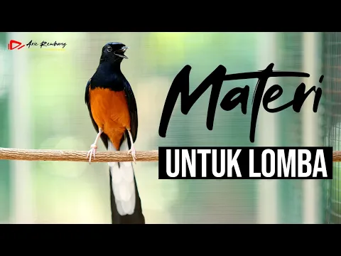 Download MP3 MASTERAN MURAI BATU PALING MEWAH UNTUK MATERI LOMBA