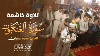 تلاوة خاشعة تبكي القلوب ما تيسر من سورة العنكبوت بصوت القارئ حماد رضوان                       دندنها