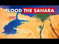 Lagu Egypt Is About to Flood the Sahara Desert