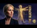 The Core Blueprint of Human Drive Why Values Dictate Your Entire Reality