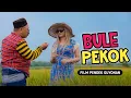 Download Lagu BULE PEKOK - FILM KOMEDI JAWA LUCU
