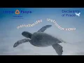 Download Lagu Instructievideo: Hoe kan ik de Verklaring van Vrede ondertekenen?