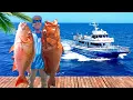 72 Hrs Aboard Florida s Most Legendary Fishing Boat Catch Clean Cook