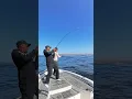 into the unknown
