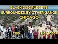 Download Lagu Black Disciple Sets Surrounded by Other Gangs in Chicago: GDs, Vice Lords \u0026 More