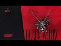 Alok, Kickbait & CERES - BLACK WIDOW