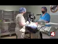 St Charles Animal Shelter opens new surgery center slated to save the city thousands