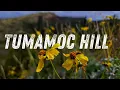 Tumamoc Hill Birds Eye Views of Tucson Arizona