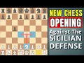 A New Opening To Beat The Kan Sicilian \u0026 French Sicilian Defense!