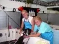 Dogs taking a bath-Barks-n-Bubbles