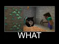 Maxwell the Cat in Minecraft wait what meme part 132