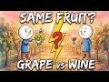 How Grapes Become Wine The Amazing Process Explained
