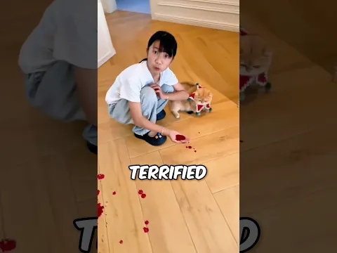 Me and Tom pranked Dad!