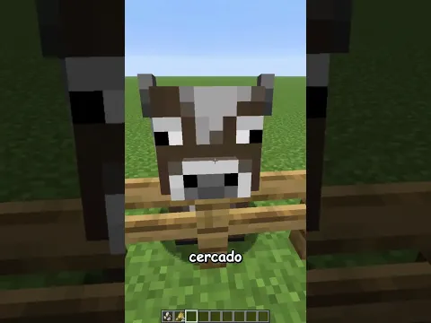 Agora os mobs do minecraft está revoltado comigo