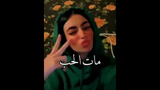 حالات واتس اب مات الحب اللي كان   مات الحب الاناني      دندنها
