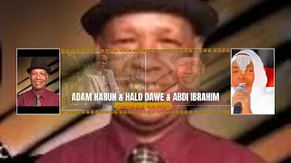 Adam Harun Fi Halo Dawe Bareeda Uuman Arjuun If Keeysa Filamte Seente Onnee To Raasa An Sumaan Faar 