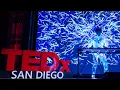 Audience Interactive Live Music Experiences  | Plexusplay Live | TEDxSanDiego