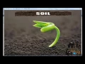 A Novel Data Mining Approach for Soil Classification Final Year Projects 2016 - 2017