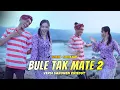 Download Lagu BULE TAK MATE 2 / VERSI SARONEN / BOHENK FEAT ROFITA SARI / viral di tik tok