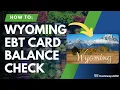 Wyoming EBT Balance Check Instructions