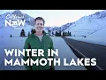 Winter in Mammoth Lakes Skiing Cross-Country Trails Insider Tips California Now Podcast