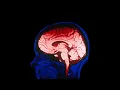 Self-improvement is f ing your brain