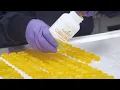 How are Cura-Chews made in New York