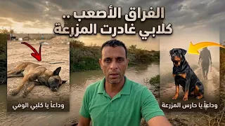 لحظة خروج الكلاب.. المزرعة بدونهم صدمة! 😔
