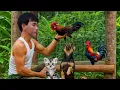 Download Lagu CEO verlaat de stad om te genieten van een vredig leven met zijn hond en kippen