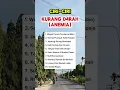 Lagu ciri-ciri kurang darah (anemia) #obatkesehatan #obatherbal #hidupsehat