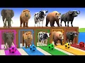 Download Lagu Long Slide Game With Cow Elephant Gorilla Hippopotamus Tiger 3d Animal Game Funny 3d Animals