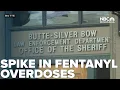 Law enforcement s warn of several fentanyl overdoses in Butte area