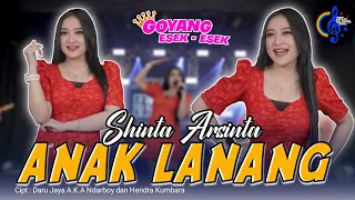 Download Shinta Arsinta - Anak Lanang - Goyang Esek Esek (Official Music Video) Kowe Kui Anak Lanang MP3