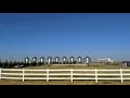 Farm Tour - by popular demand