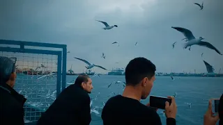 بكره بيخلص هالكابوس بدل الشمس بتضوي شموس دندنها