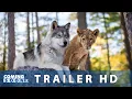 Video di Il Lupo e il Leone (2022): Trailer ITA del Film di Gilles de Maistre - HD