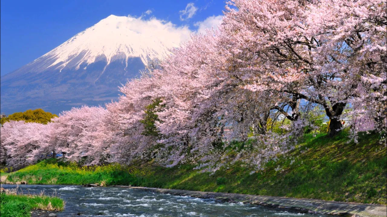 【日本一高い山】富士山を歌った名曲。おすすめの人気曲