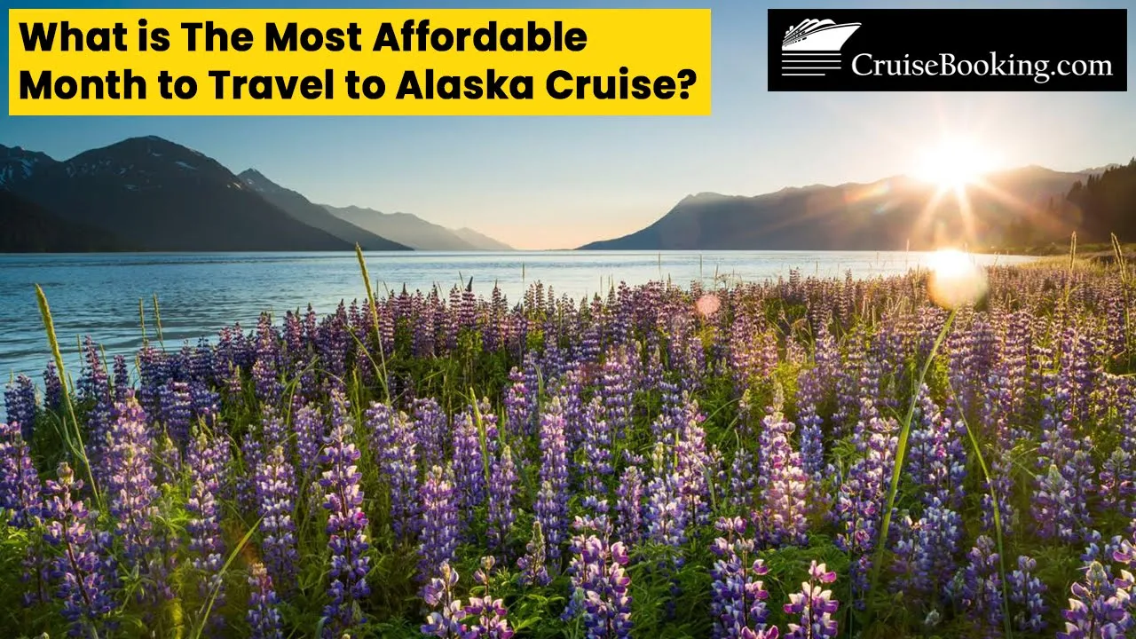 What is The Most Affordable Month to Travel to Alaska? | CruiseBooking.com | #cruisebooking