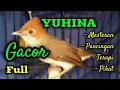 Download Lagu Masteran yuhina gacor || Pancingan yuhina | Prenjak batu