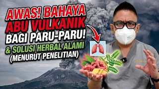 AWAS! BAHAYA ABU VULKANIK BAGI PARU-PARU & SOLUSI HERBAL ALAMI MENURUT PENELITIAN