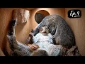 Otie s Summer Squirrel Nest Box Series Episode 4