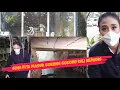 Download Lagu GINA FITA MASUK GORONG-GORONG KALI KEMANG