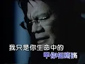 鄭進一愛情過路人