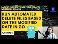 Run Automated Delete Files Based on the Modified Date In Go-Backup Files Software From Scratch