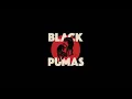 Black Pumas - Colors (Official Audio)