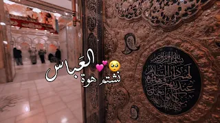 نشتم هوة الع باس       مسلم الوائلي ستوريات حسينية دندنها