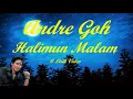 Download Lagu Andre Goh ~Halimun Malam ~Lirik