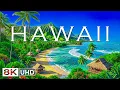 Lagu Wonders of Hawaii | Discover Volcanoes, Lush Rainforests, and Stunning Beaches | Travel Video 8K