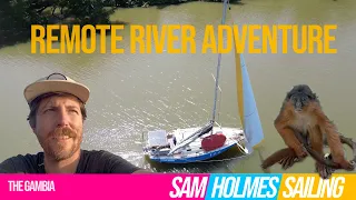 Solo Sailing the Gambia River – West Africa – Hippos, Monkeys, Crocodiles and Bugs!
